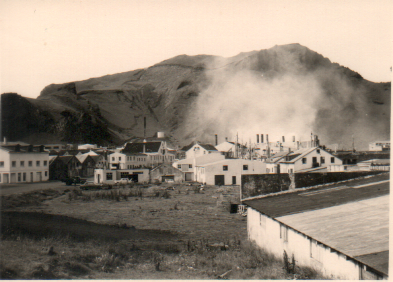 rni Fr Strandvegur 1960